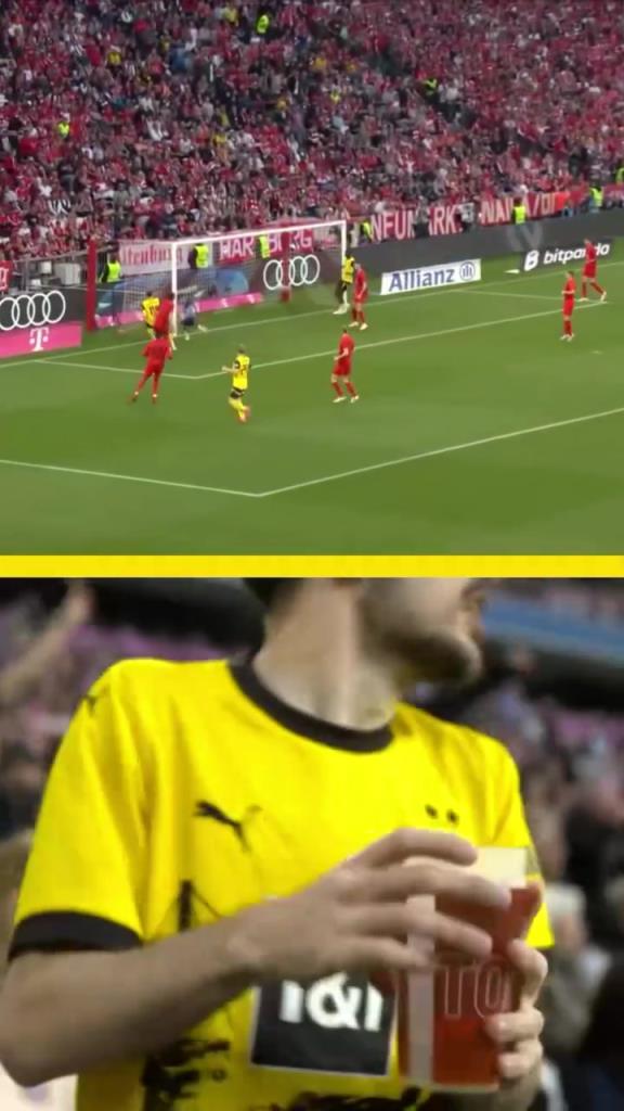 勇者無(wú)懼！這是真多特球迷！在拜仁球迷區(qū)一個(gè)人肆意慶祝！